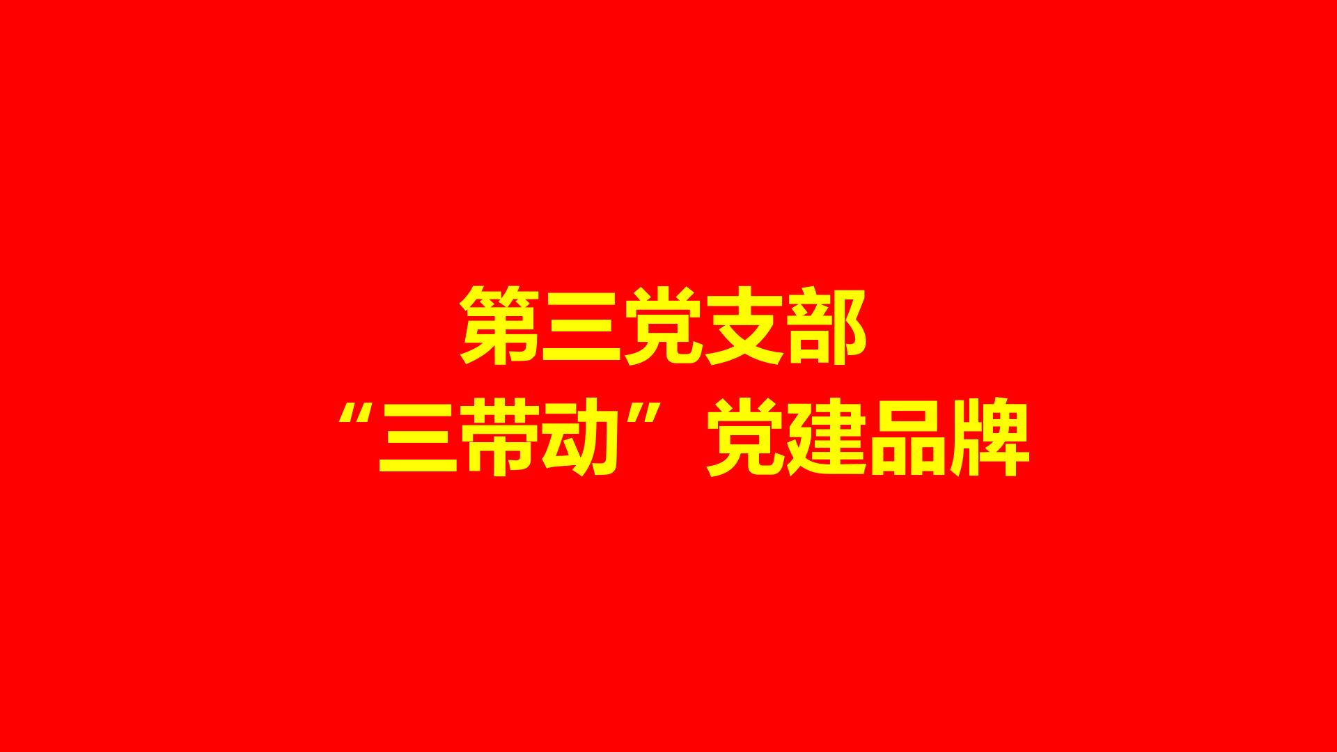 第三党支部