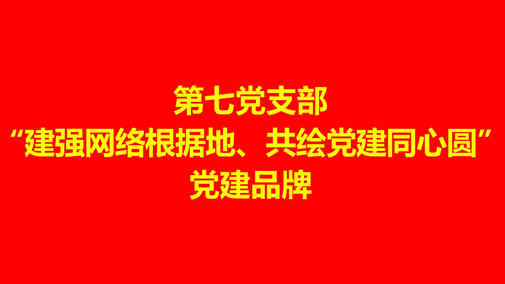 第七党支部